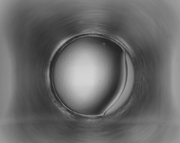 X0000113020788200909031230