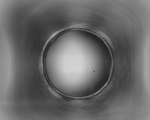 X0000113020792200909031230