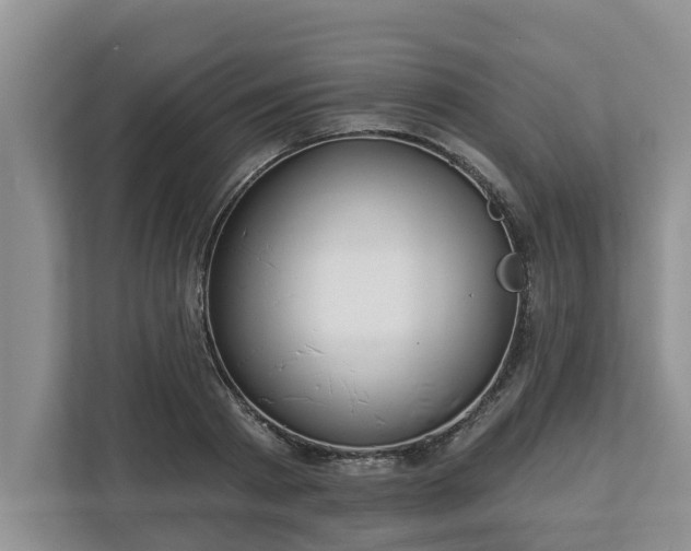 X0000113020793200909031230