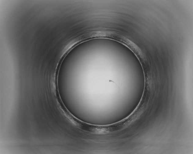 X0000113020794200909031230