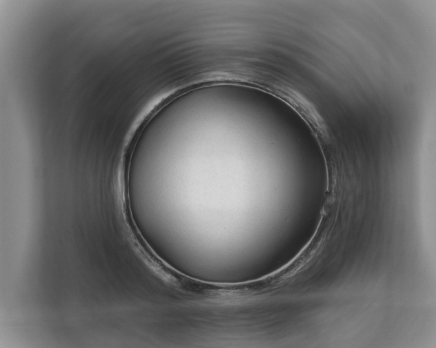 X0000113020796200909031230
