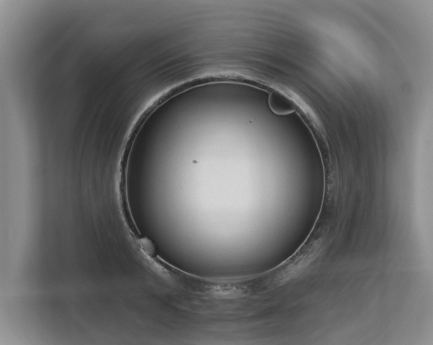 X0000113020799200909031230
