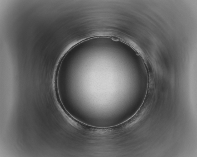 X0000113020803200909031230