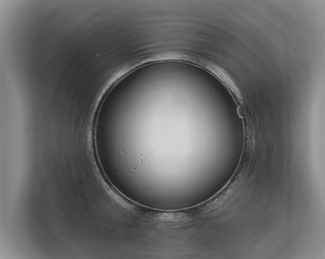 X0000113020805200909031230