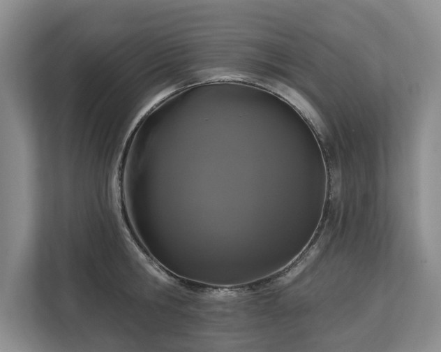 X0000113020806200909031230