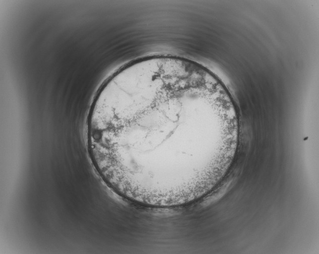 X0000113020807200909031230