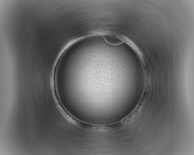 X0000113020811200909031230