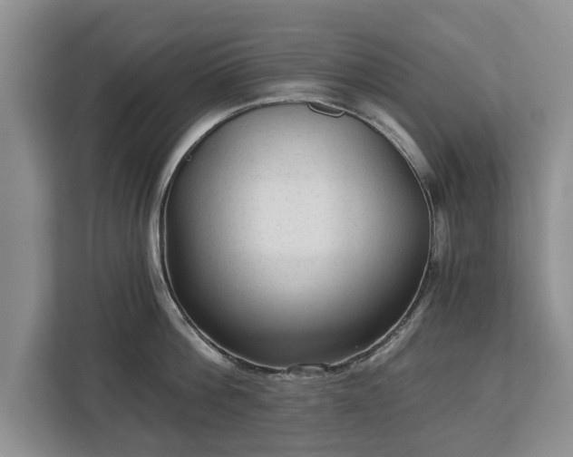 X0000113020812200909031230