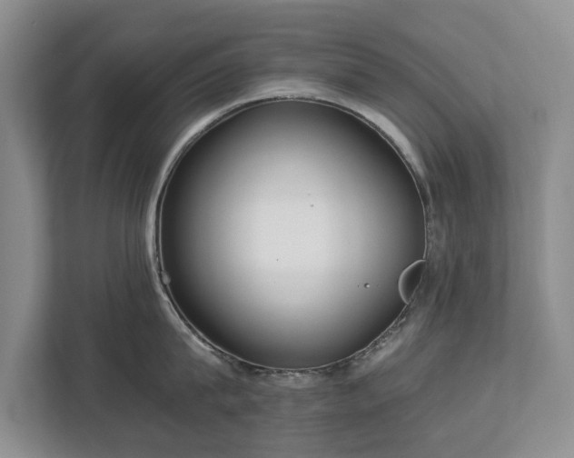 X0000113020815200909031230