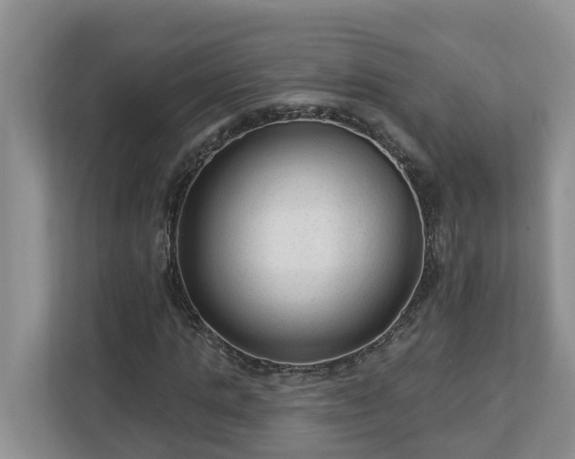 X0000113020821200909031229