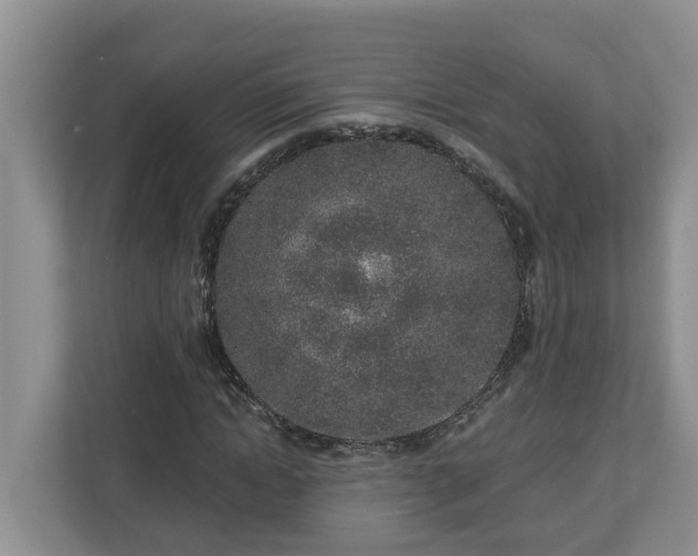 X0000113020822200909031229