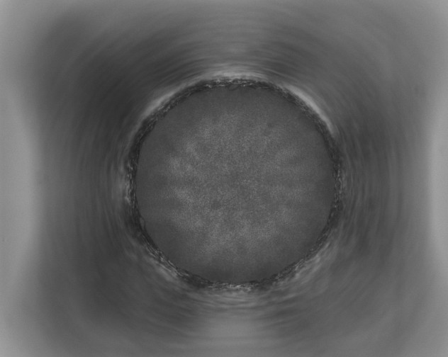 X0000113020823200909031229