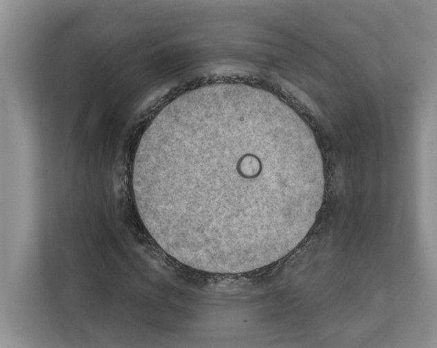 X0000113020824200909031229