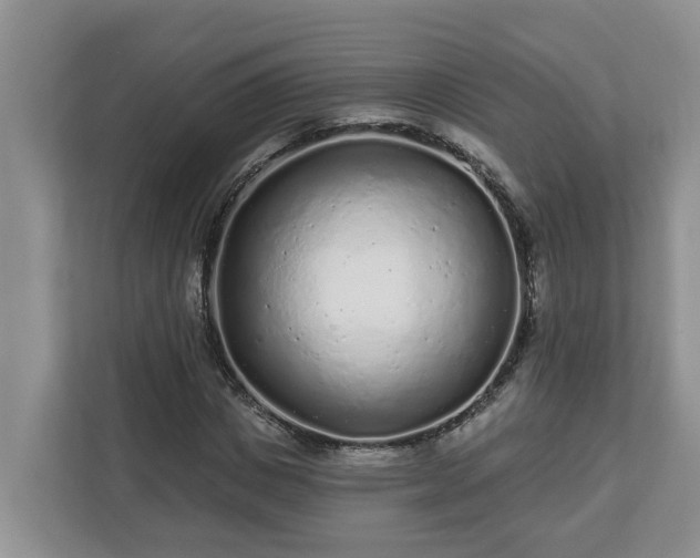 X0000113020825200909031229