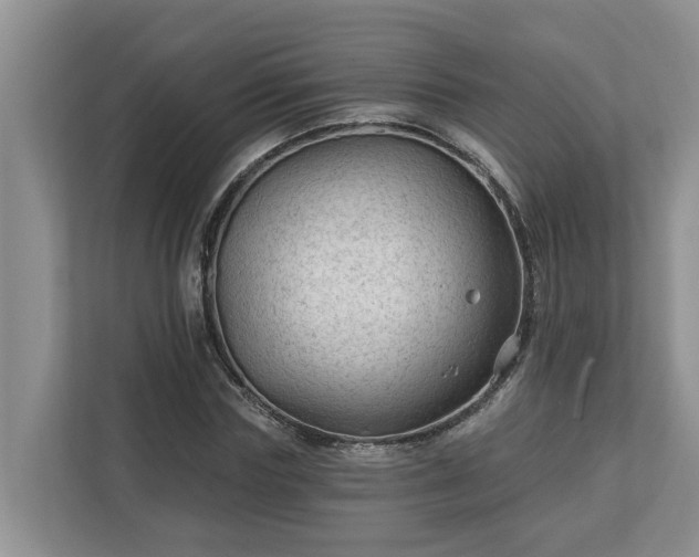 X0000113020827200909031229
