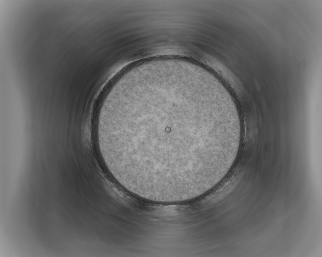 X0000113020828200909031229