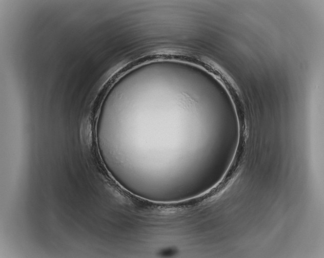 X0000113020829200909031229