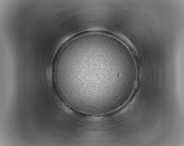 X0000113020831200909031229