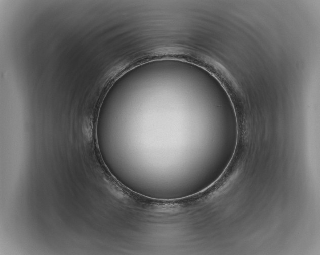 X0000113020833200909031229