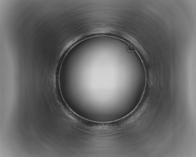 X0000113020834200909031230