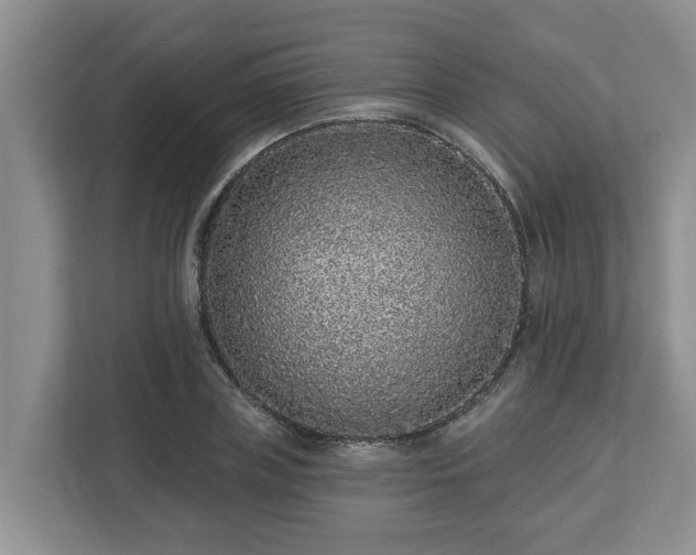 X0000113020835200909031230
