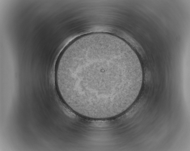 X0000113020836200909031230