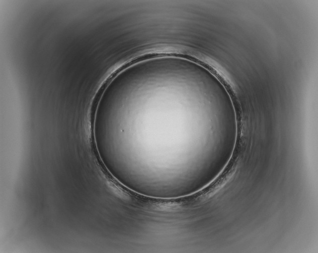 X0000113020837200909031230