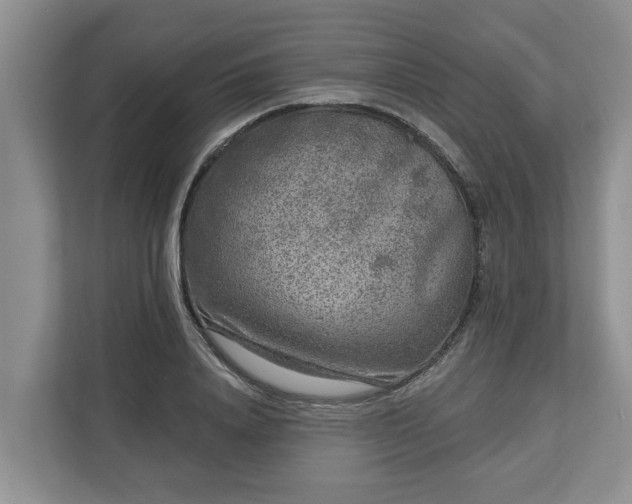 X0000113020840200909031230