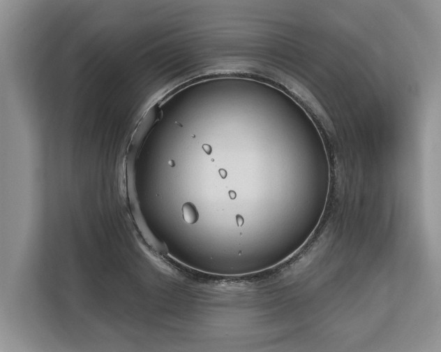 X0000113020842200909031230