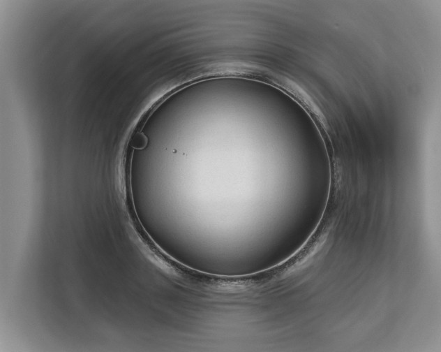 X0000113020843200909031230