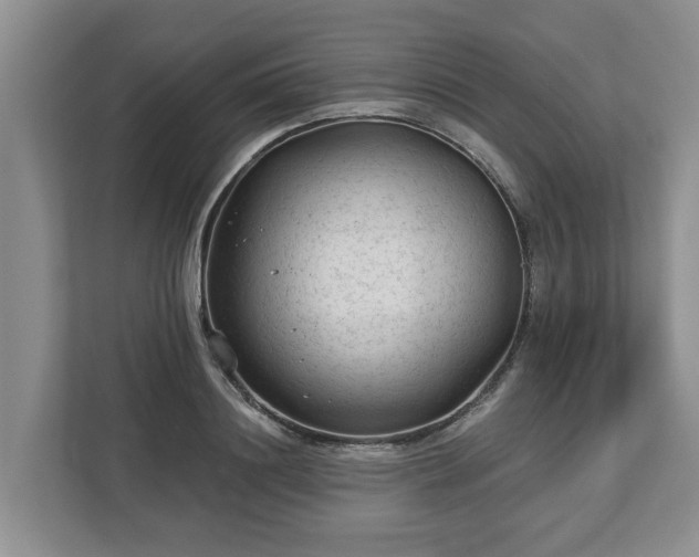 X0000113020844200909031230