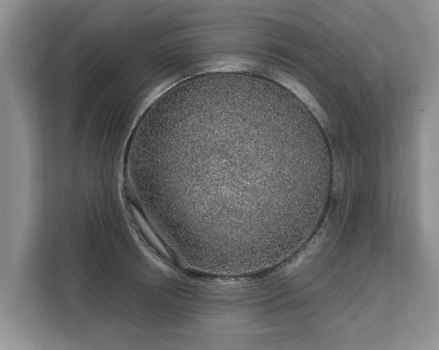 X0000113020850200909031230