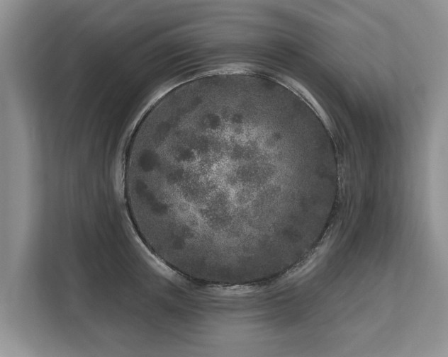 X0000113020851200909031230