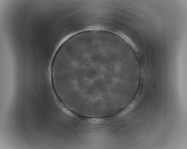 X0000113020854200909031230