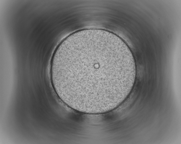 X0000113020856200909031230