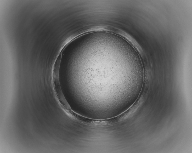 X0000113020858200909031230
