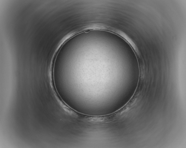 X0000113020861200909031230
