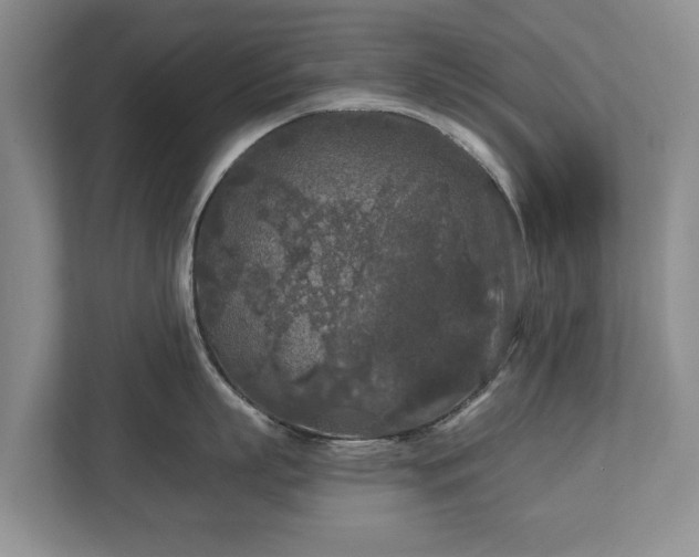 X0000113020863200909031230
