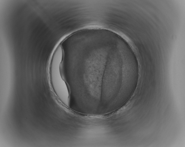 X0000113020864200909031230