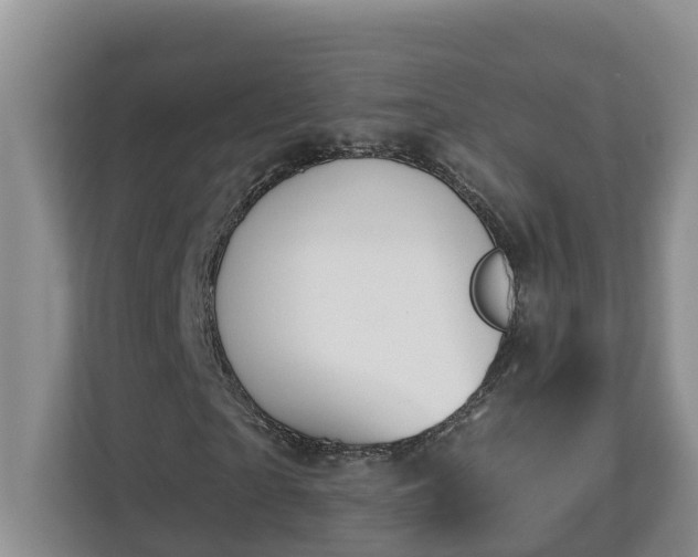 X0000113020865200909031229