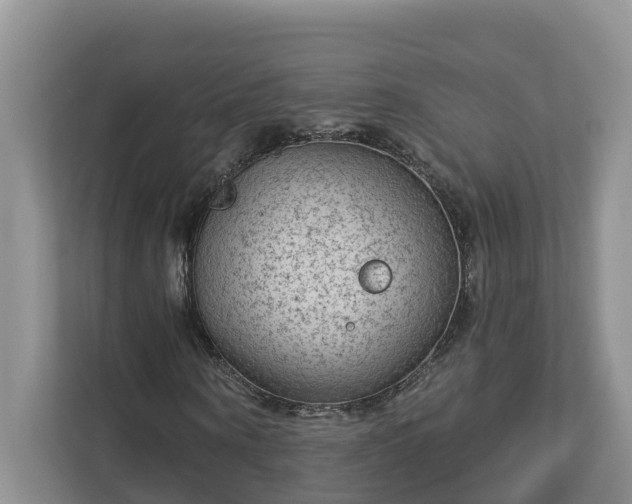X0000113020866200909031229