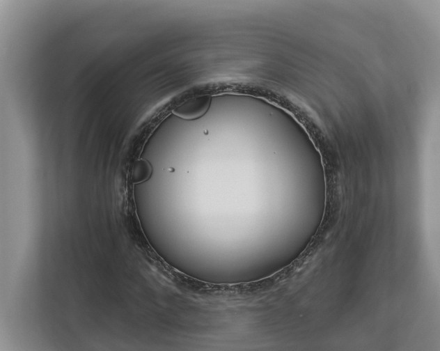 X0000113020872200909031229