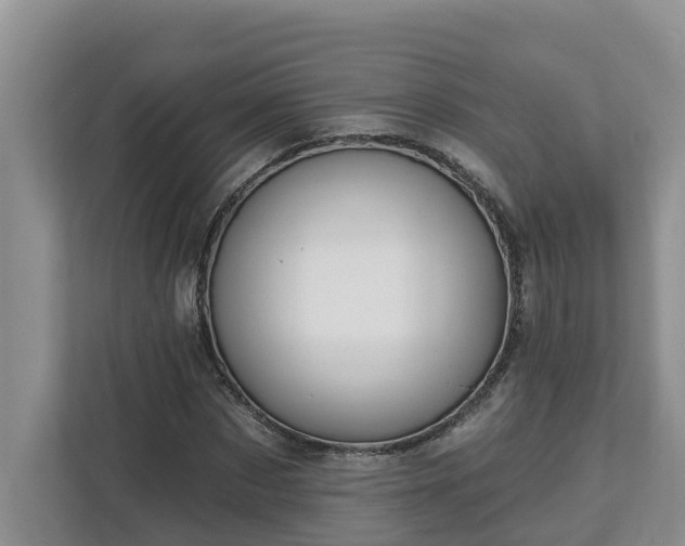 X0000113020873200909031229