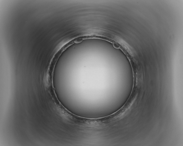 X0000113020876200909031229