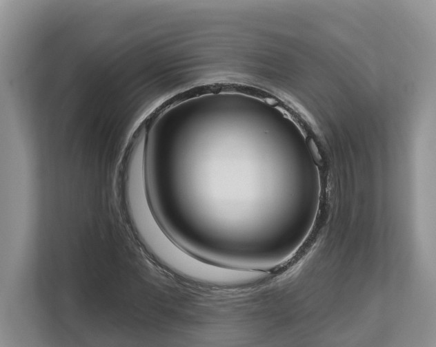 X0000113020877200909031229