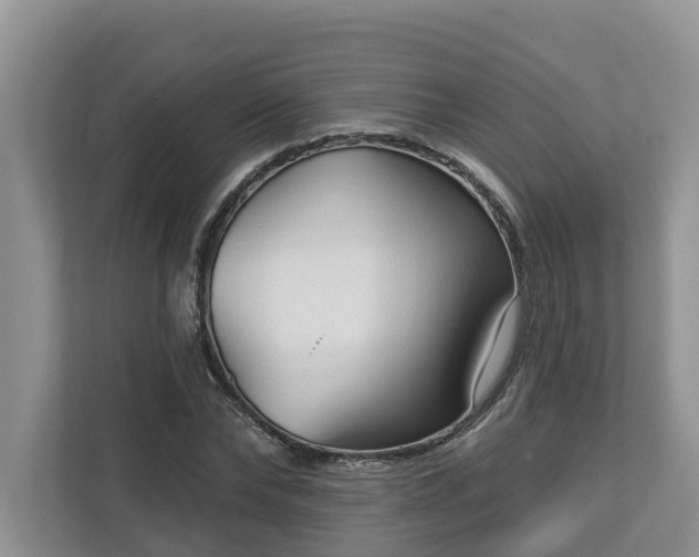 X0000113020878200909031229