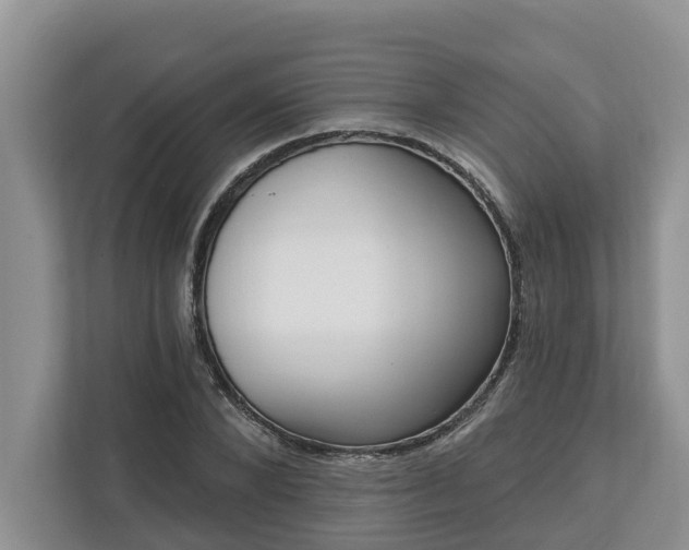 X0000113020880200909031229