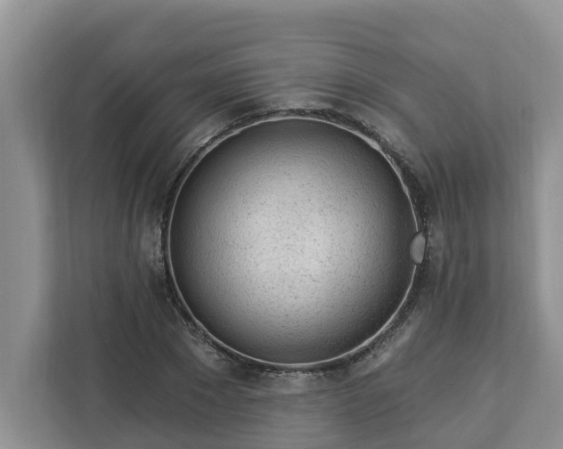 X0000113020881200909031229