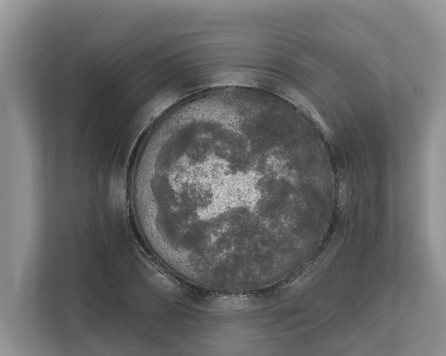 X0000113020882200909031229