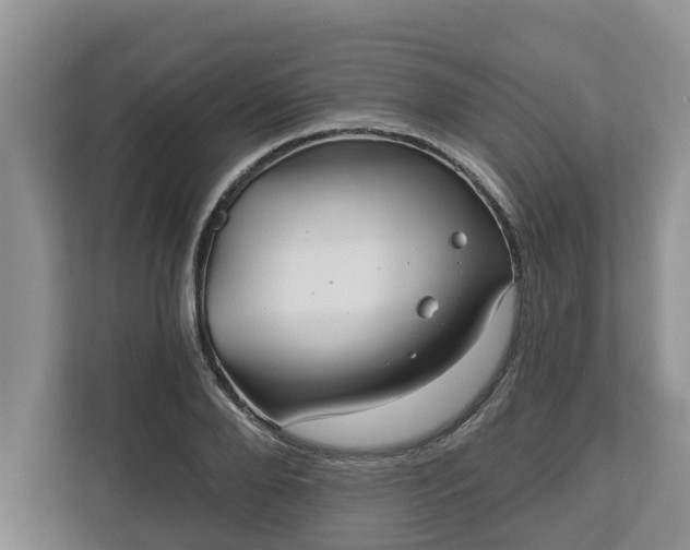 X0000113020888200909031229